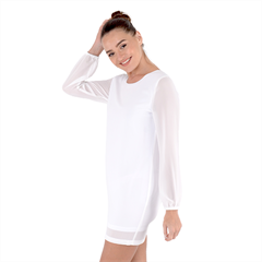 Long Sleeve Chiffon Shift Dress 