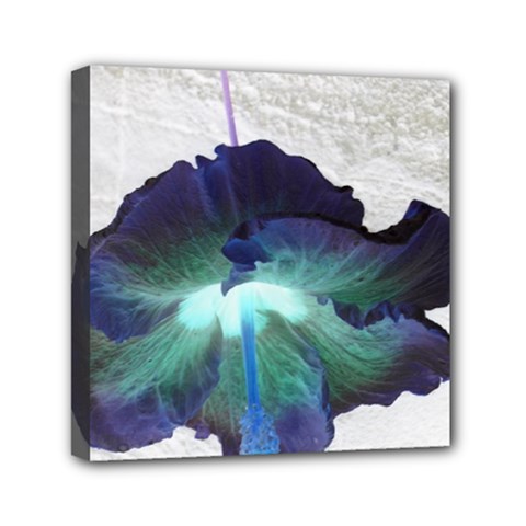 Exotic Hybiscus   6  X 6  Framed Canvas Print