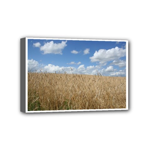 Grain And Sky Mini Canvas 6  X 4  (framed)