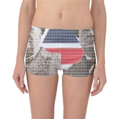 Churchill 1 Boyleg Bikini Bottoms