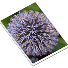 Globe Mallow Flower Large Memo Pads
