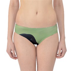 Goose, Black And White Hipster Bikini Bottoms