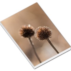 2  Verwelkte Kugeldistel Large Memo Pads