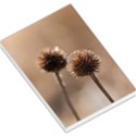 2  Verwelkte Kugeldistel Large Memo Pads View1
