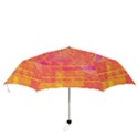 Yello And Magenta Lace Texture Folding Umbrellas View3