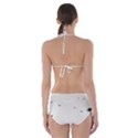 Fly Cut-Out One Piece Swimsuit View2