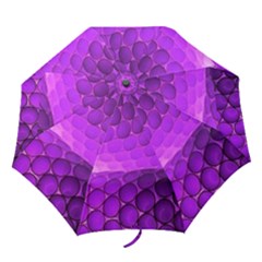 Circular Color Folding Umbrellas