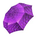 Circular Color Folding Umbrellas View2