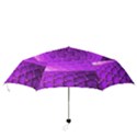 Circular Color Folding Umbrellas View3