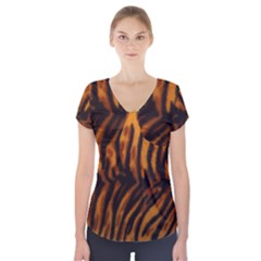 Animal Background Cat Cheetah Coat Short Sleeve Front Detail Top