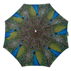 Peacock Feather Beat Rad Blue Straight Umbrellas by Amaryn4rt