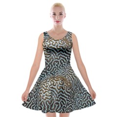 Coral Pattern Velvet Skater Dress by Amaryn4rt