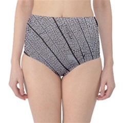 Sea Fan Coral Intricate Patterns High-waist Bikini Bottoms