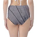 Sea Fan Coral Intricate Patterns High-Waist Bikini Bottoms View2