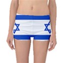 Flag of Israel Boyleg Bikini Bottoms View1