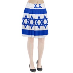 Flag Of Israel Pleated Skirt by abbeyz71