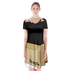 Black Cat In A Box Short Sleeve V-neck Flare Dress