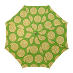 Lime Orange Yellow Green Fruit Golf Umbrellas by Mariart