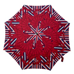 Alternatively Mega British America Red Dragon Hook Handle Umbrellas (medium) by Mariart