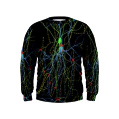 Synaptic Connections Between Pyramida Neurons And Gabaergic Interneurons Were Labeled Biotin During Kids  Sweatshirt by Mariart