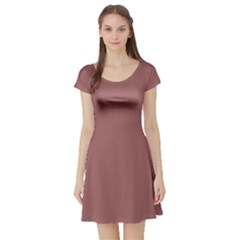 Blush Gold Coppery Pink Solid Color Short Sleeve Skater Dress