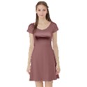 Blush Gold Coppery Pink Solid Color Short Sleeve Skater Dress View1