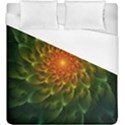 Beautiful Orange-Green Desert Cactus Fractalspiral Duvet Cover (King Size) View1