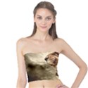 Roaring Lion Tube Top View1