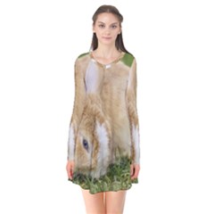 Beautiful Blue Eyed Bunny On Green Grass Flare Dress