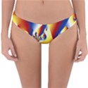 Mandelbrot Math Fractal Pattern Reversible Hipster Bikini Bottoms View1