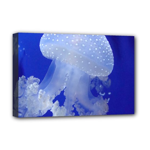 Spotted Jellyfish Deluxe Canvas 18  X 12  