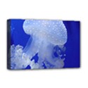 SPOTTED JELLYFISH Deluxe Canvas 18  x 12   View1