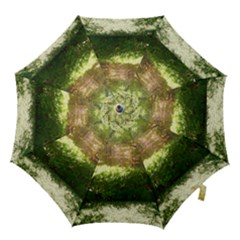Highland Park 19 Hook Handle Umbrellas (large) by bestdesignintheworld
