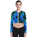 Dscf1604 - lady in blue kimono Bomber Jacket View1