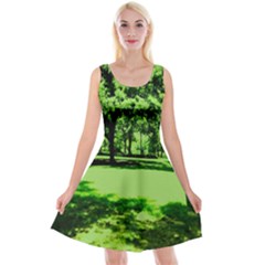 Lake Park 13 Reversible Velvet Sleeveless Dress