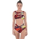 Sunset In A Mountains Bandaged Up Bikini Set  View1