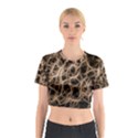 Structure Background Pattern Cotton Crop Top View1