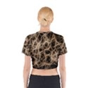 Structure Background Pattern Cotton Crop Top View2