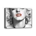 Blonde Bombshell Mini Canvas 7  x 5  View1