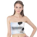 Background Show Graphic Art Panda Tube Top View1