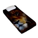 Fractalius Big Cat Animal Fitted Sheet (Single Size) View2
