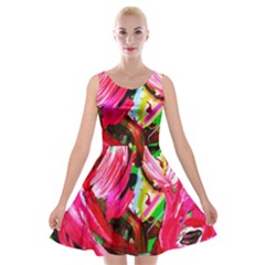 Flamingo   Child Of Dawn 5 Velvet Skater Dress by bestdesignintheworld