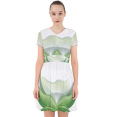 Pearl Drop Flower Plant Adorable In Chiffon Dress