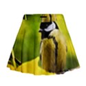 Tomtit Bird Dressed To The Season Mini Flare Skirt View1