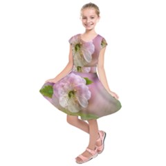 Single Almond Flower Kids  Short Sleeve Dress