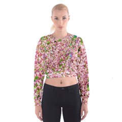 Almond Tree In Bloom Cropped Sweatshirt