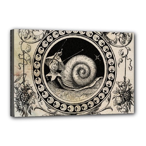 Snail 1618209 1280 Canvas 18  X 12  (stretched)