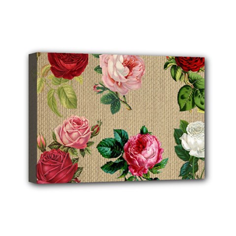 Flower 1770189 1920 Mini Canvas 7  X 5  (stretched)