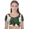 Boy 1718346 1920 Velvet Short Sleeve Crop Top  View1