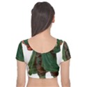 Boy 1718346 1920 Velvet Short Sleeve Crop Top  View2